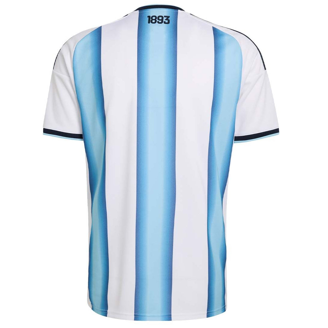 ARGENTINA LOCAL 2026