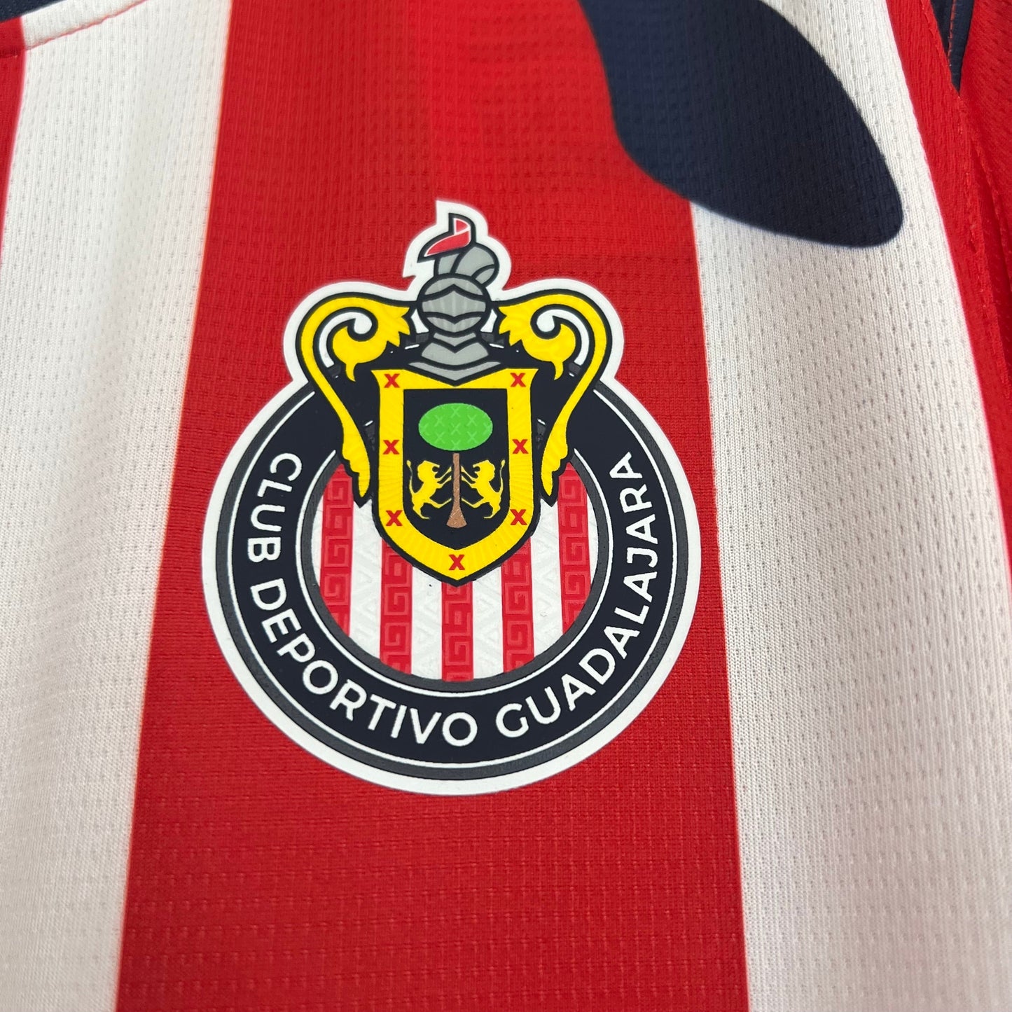 CHIVAS LOCAL 25/26